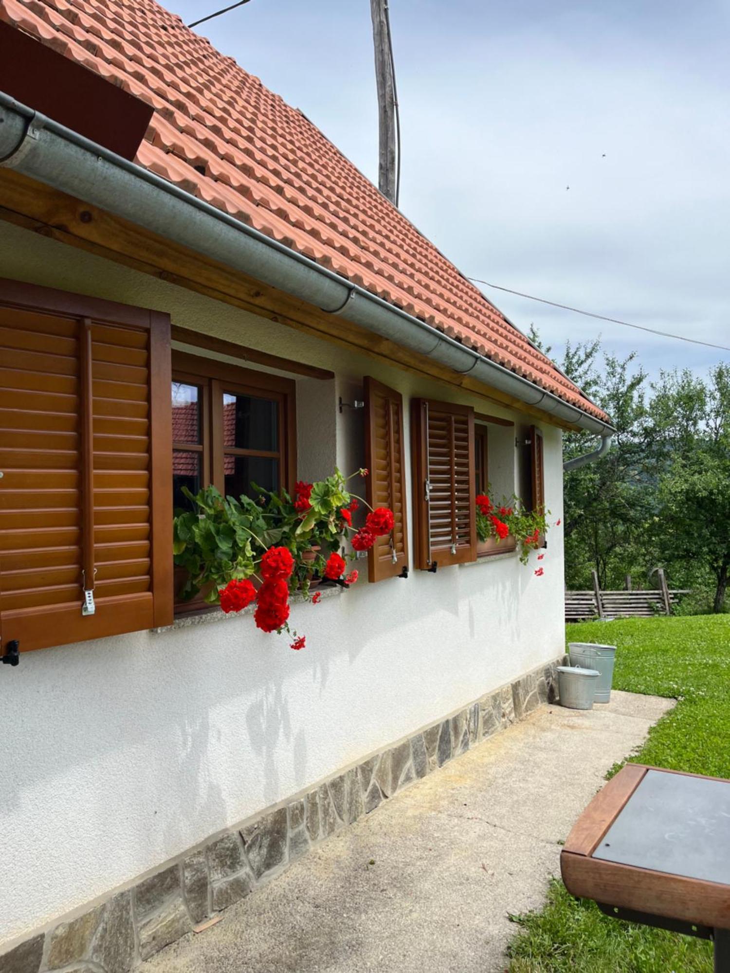 Domacija Brdar Villa Adlesici Luaran gambar